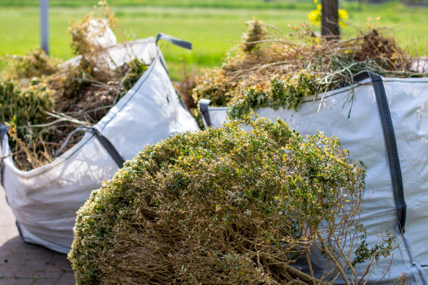 Best Furniture Removal Near Me  in Maple Plain, MN