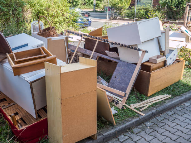 Best Electronics Removal Services  in Maple Plain, MN